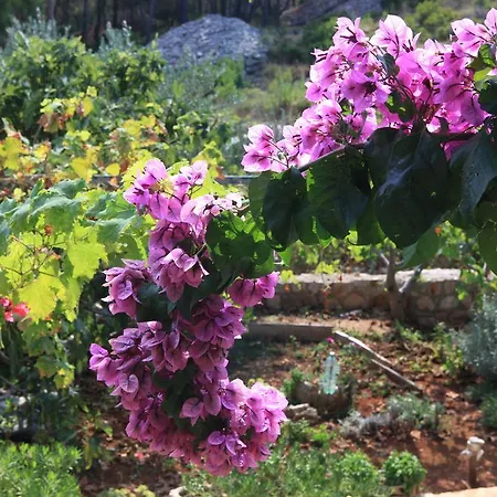 Robinson Luce דירה מילנה